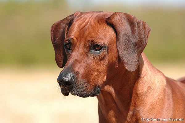 Inanda Mellberg Jenny-Leija