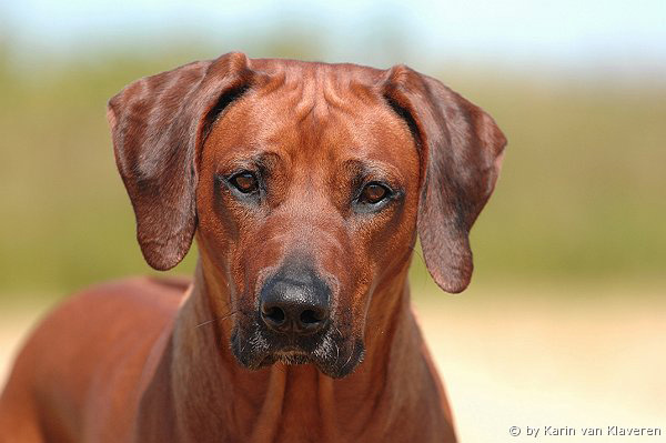 Inanda Mellberg Jenny-Leija