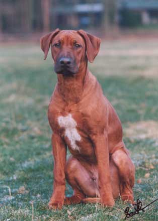 Kali-anuka of Safari Hunters