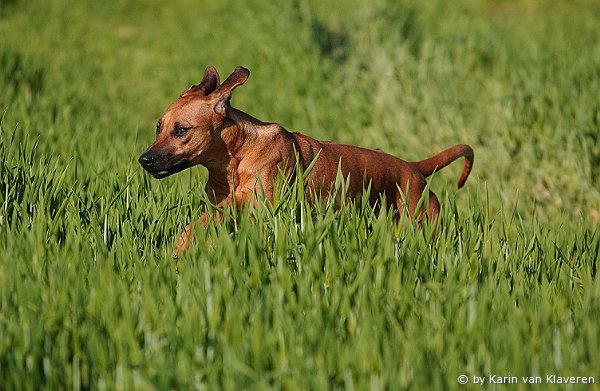 Farmersguardian African Sky