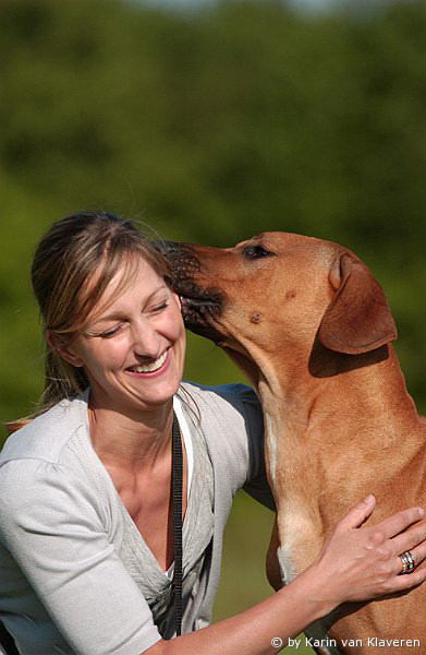 Andra van Bommel & Joe